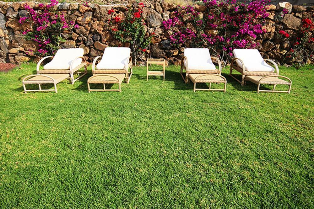 Villa Albe, Jacuzzi Con Vistas Al Mar Arona  Exterior photo